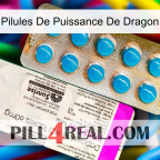 Dragon Power Pills new07